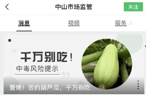 大家网上吃瓜在哪里吃,揭秘各大平台瓜田瓜地