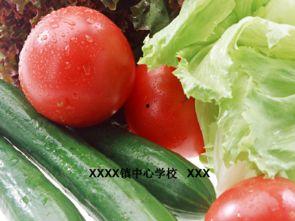 留子ppt吃瓜,揭秘吃瓜背后的娱乐现象